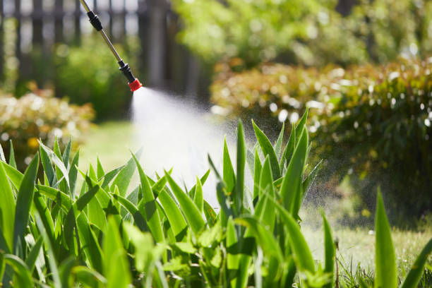 24/7 Emergency Termite Control experts in Elkhorn, CA